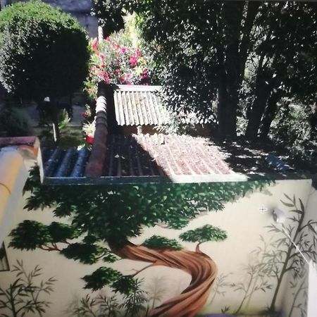 Suite Farniente Avec Patio Et Clim Montpellier Exteriér fotografie
