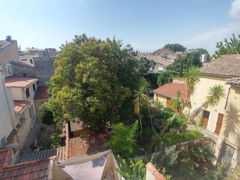 Suite Farniente Avec Patio Et Clim Montpellier Exteriér fotografie